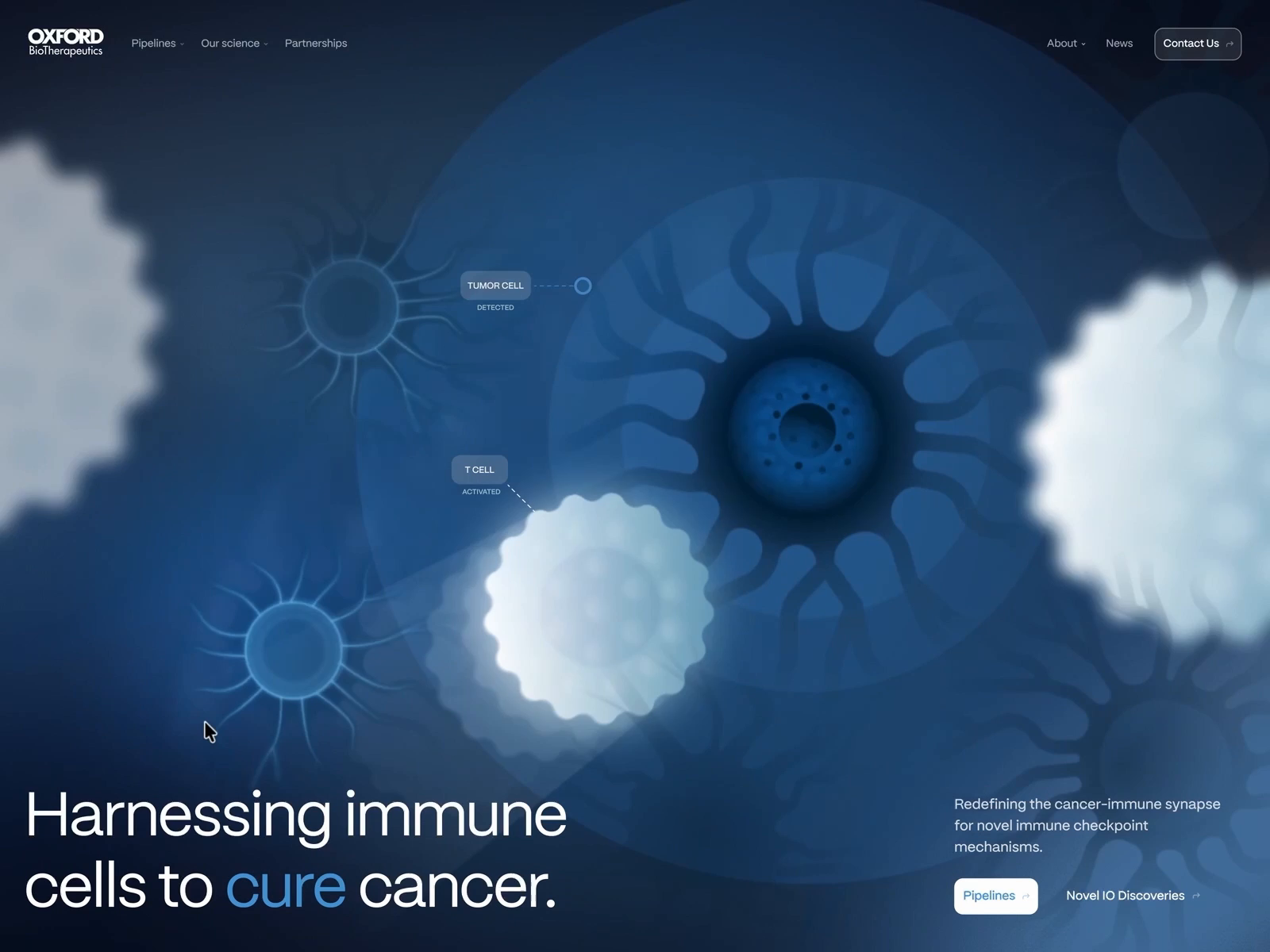 Website Design for a Biopharmaceutical Research Company