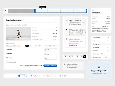 Mixamo - Export & info panels