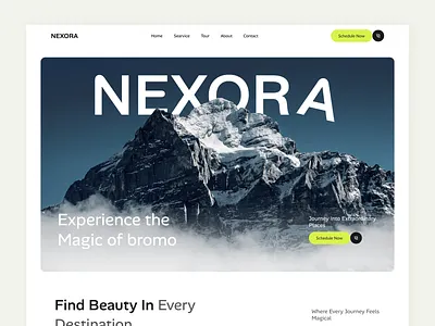 NEXORA - Travel Landing page modern ui ui deisng uiux uiux deisng user experience user interface user research ux deisng web deisgn