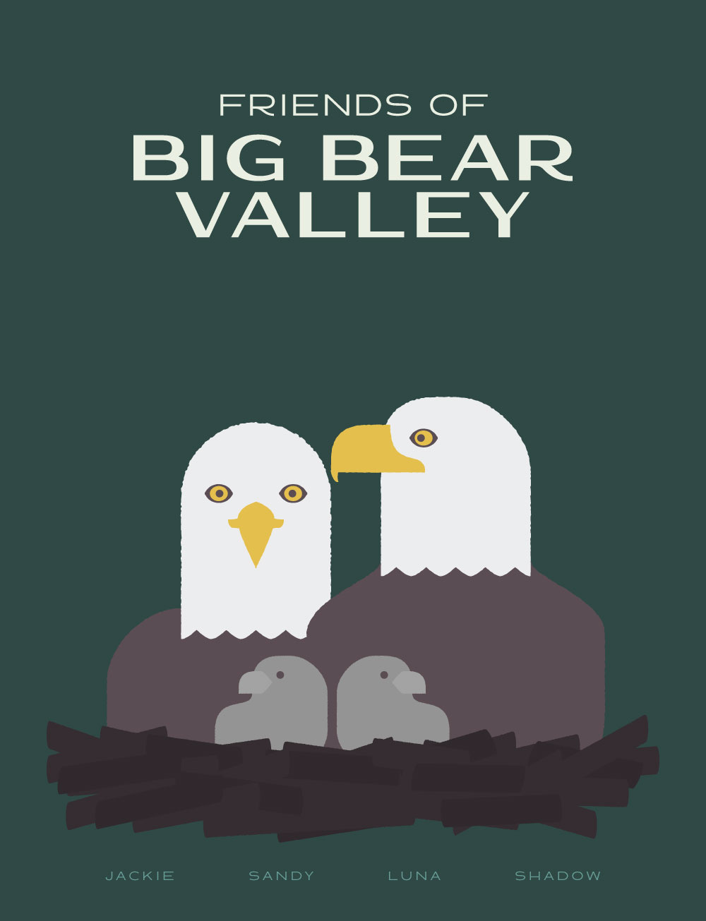 Big Bear Valley Eagles animal bird nest birds eagles graphic design illustration park poster post