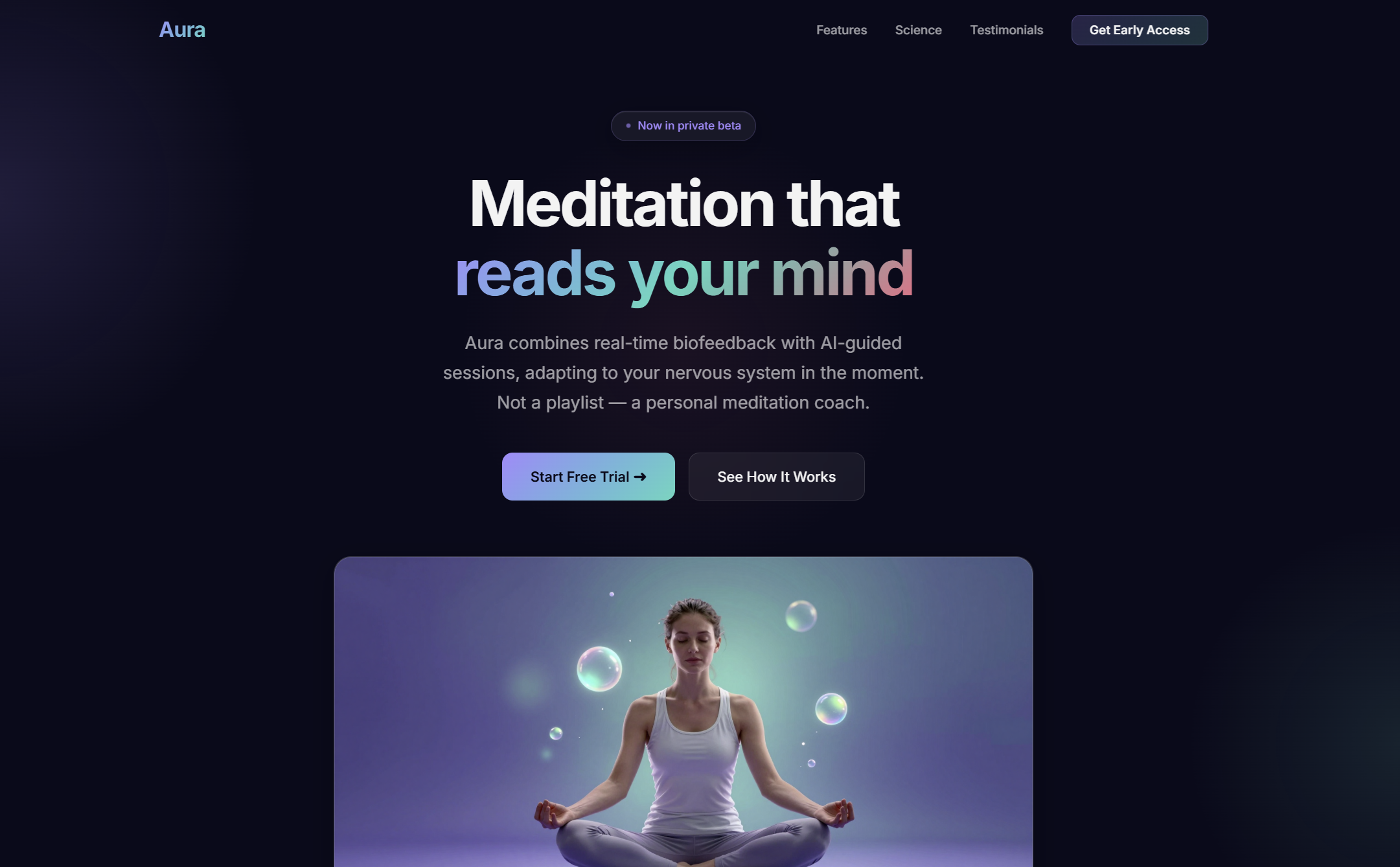 Example of Landing.Mania   Landing Page Templates