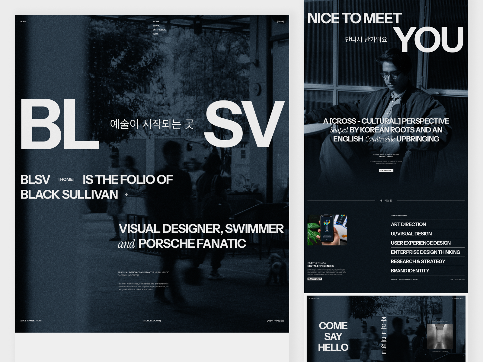 BLSV - Personal/Portofolio Website agency website branding website dark website framer framer design framer development hero section layout design minimal website monochrome website personal portofolio website studio website webflow design webflow development website design website development
