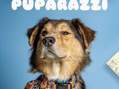 PUPARAZZI Brand Identity Project brand design brand identity design branding cphotography studio logo design design dog illustrations dog photography dog photography studio design graphic design illustration logo logo design photography studio design photography studio logo design xdog photography studio design