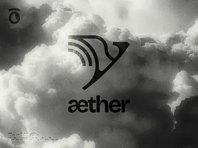 æther Airways — Visual Identity abstract aerospace airline airways arctic tern aviation bird brand identity brand system branding editorial design identity design logo logo design luxury branding minimal branding symbol design travel typography visual identity