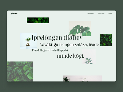 #DailyUI 22 - Plants dailyui dailyuichallenge design ui ux web webdesign
