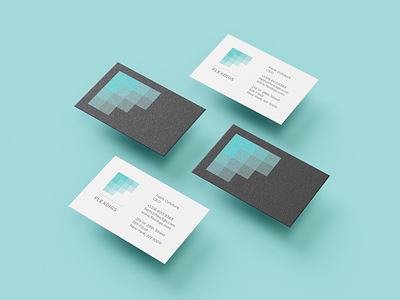 FlexDigs Desktop UI & Business Cards branding design graphic design ui