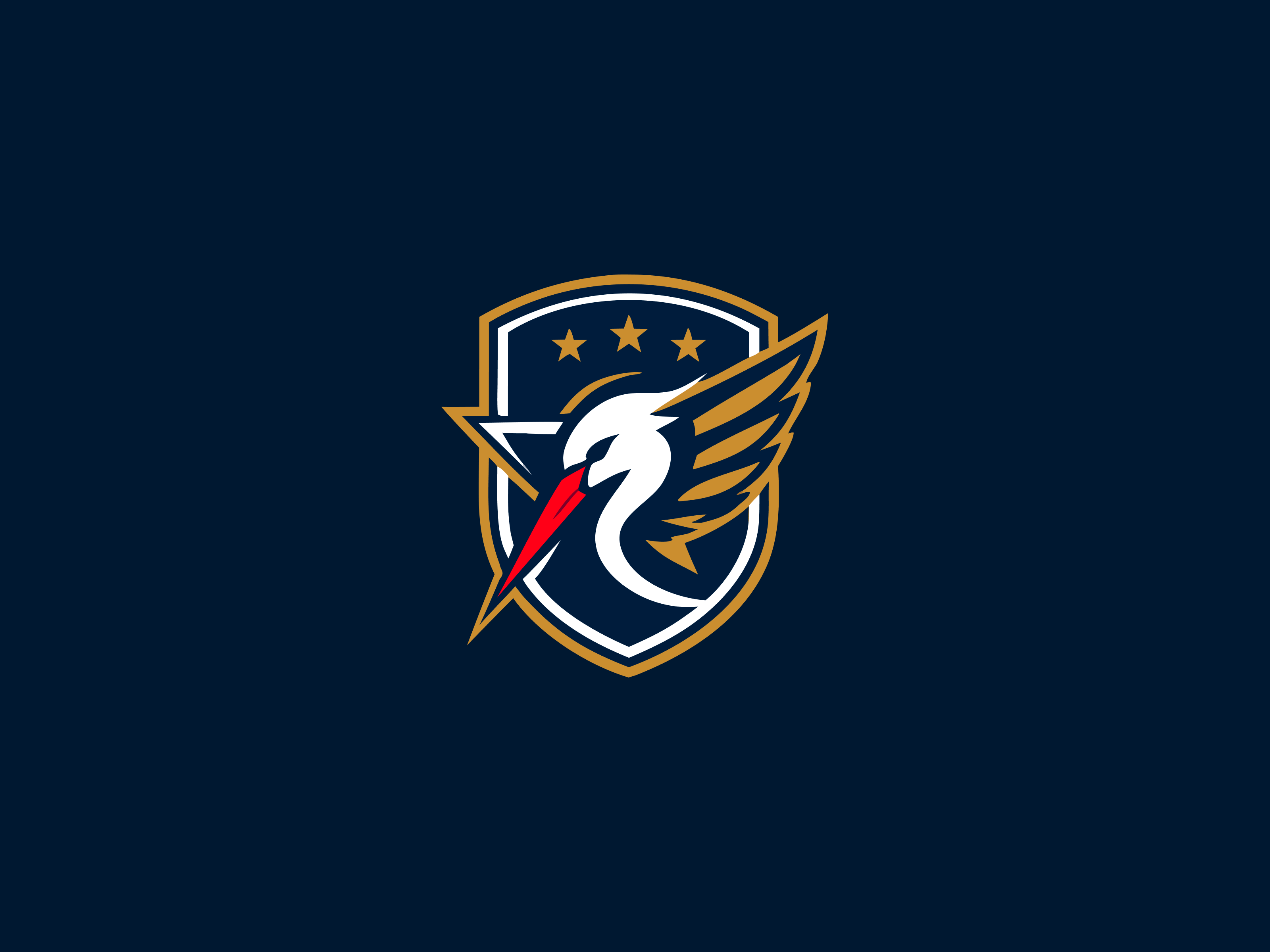 Sports Logo Design – Mascot Badge Branding Identity