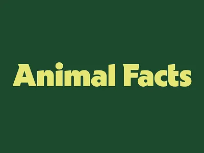 Animal Facts Wordmark animal animal facts animals brand design branding facts graphic design green logo logo design nature wordmark