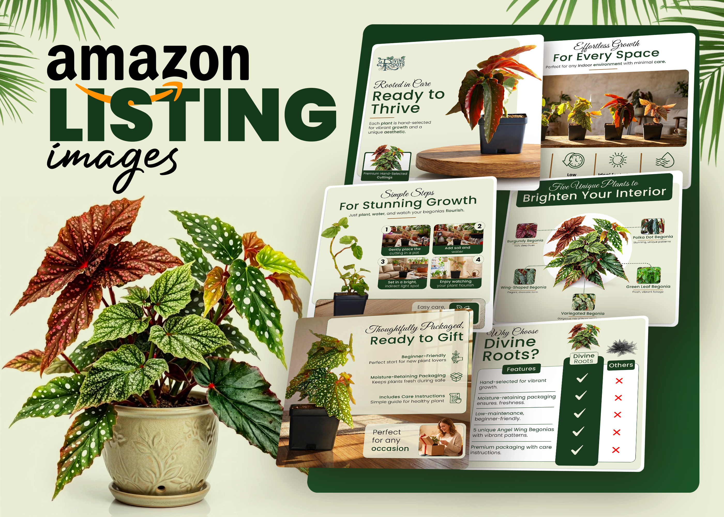 Amazon Listing Images Design – Indoor Begonia Plants amazon creatives amazon graphics amazon listing images amazon product images amazon visuals brand design branding design e commerce design graphic design listing images modern e commerce photo manipulation product infographic design