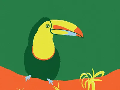 Toucan Illustration animal animal facts bird brand design brand illustration branding graphic design green illustration orange texture toucan toucan illustration tropical yellow