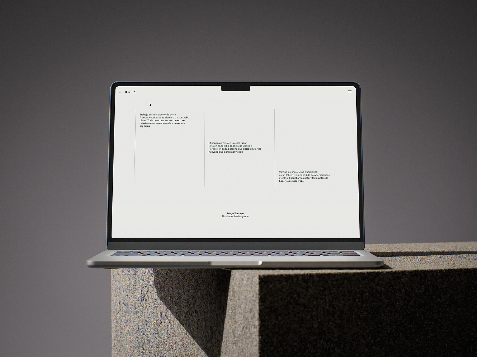 Example of Web Design + Framer Development