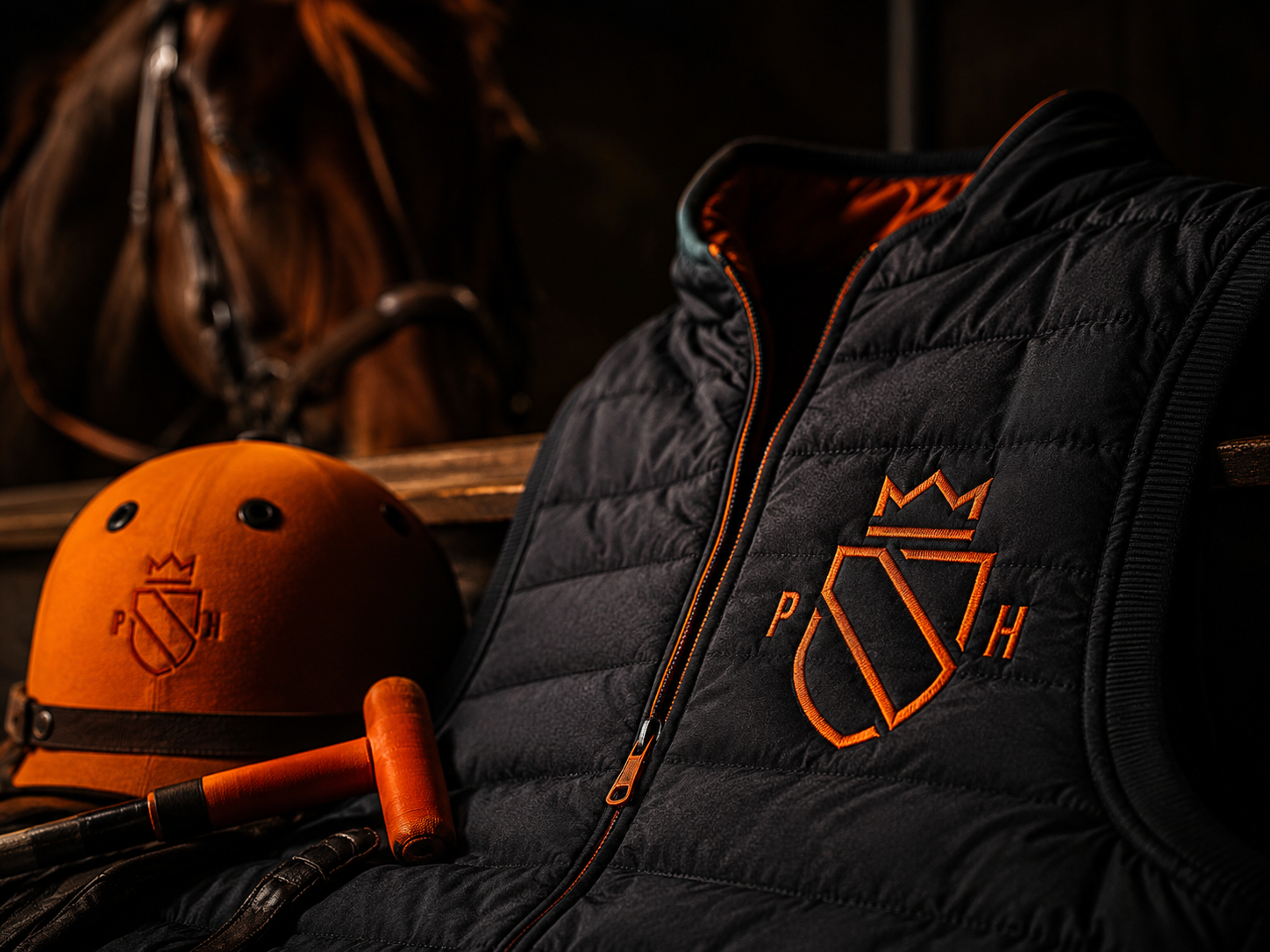 Heraldic Inspired Modern Logo brand branding crown design graphic design graphic designer helmet horse illustrator jacket logo logotype minimal modern photoshop polo shield