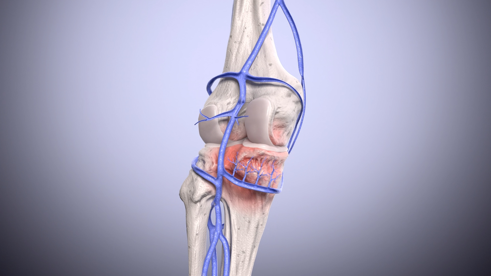 Example of Healthcare & Medical 3D Animation