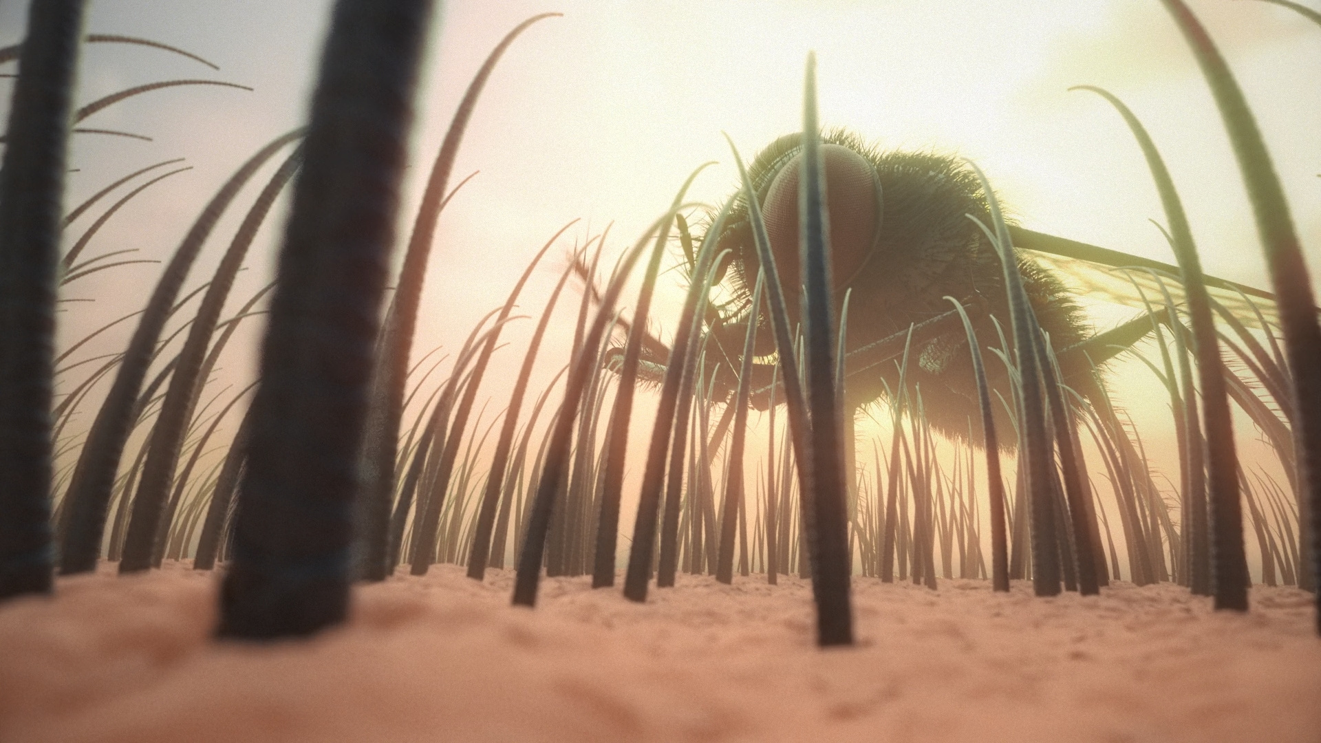 Example of Cgi, Vfx & Story Based 3D Animation