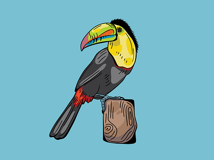 Toucan Tony - Vector Illustration