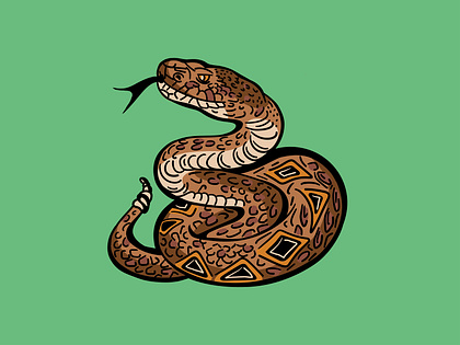 Snake vector illustration