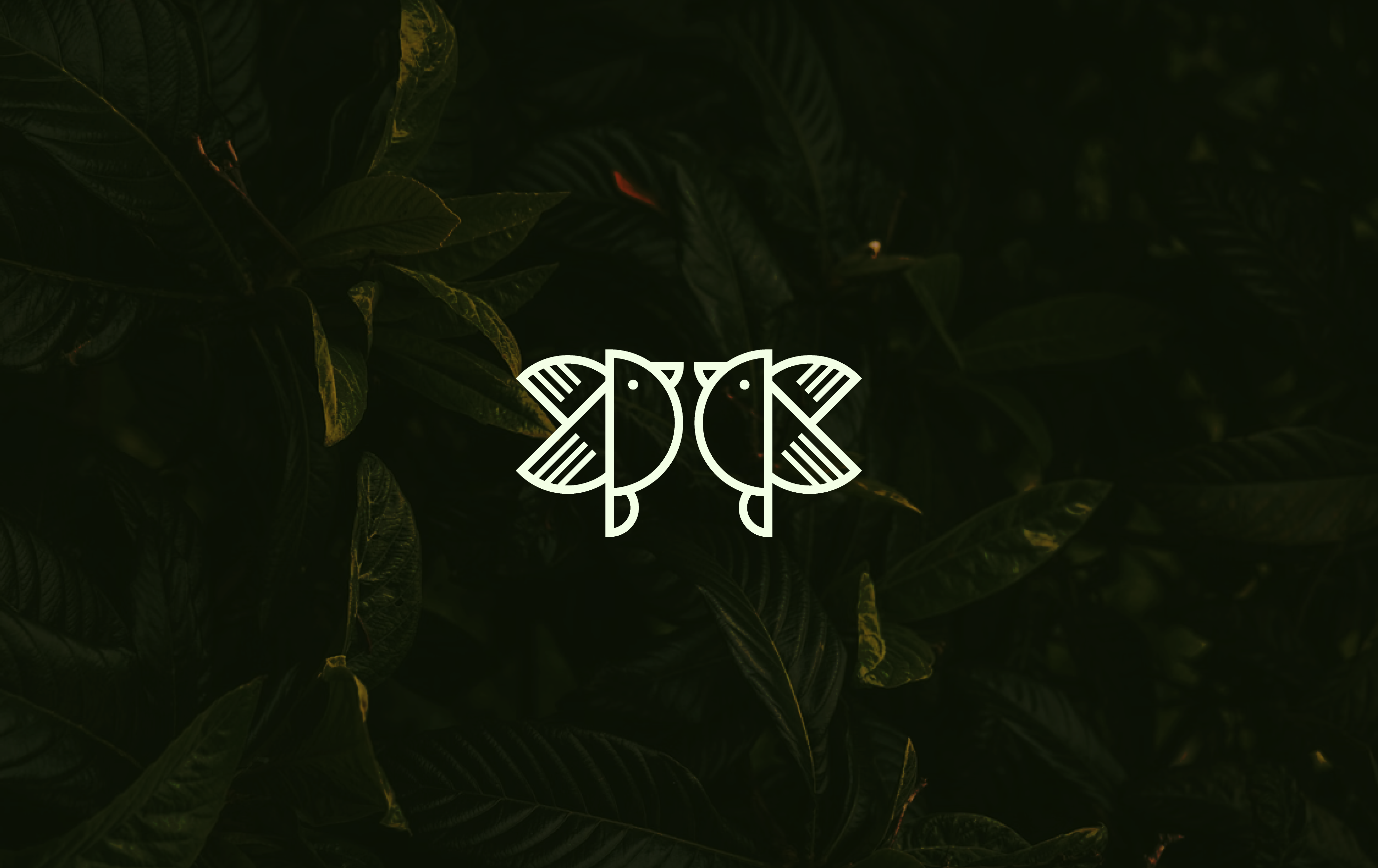 CanopyBirdsong | Inspired by Nature
