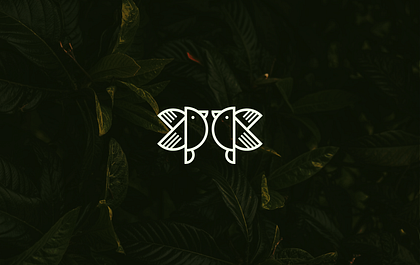 CanopyBirdsong | Inspired by Nature