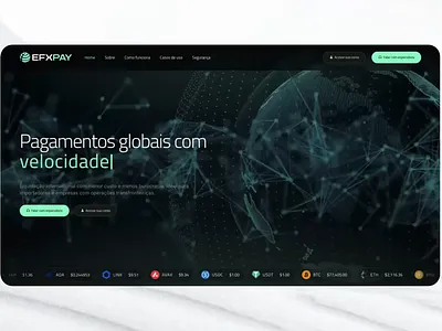 Fintech Website @ EFXPayments v2 ui webdesign website