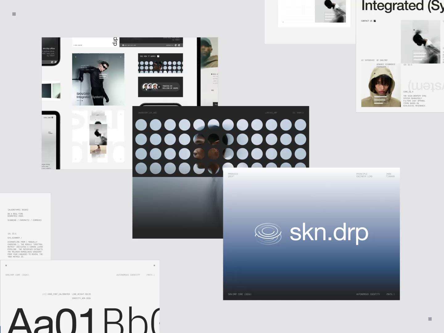 SKN/DRP: Fashion E-commerce Brand Guidelines