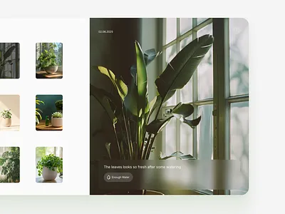 Plant Memories - Save plant moments & growth UI aesthetic design album dashboard b2c backswitch clean design dashboard design idea desktop desktop app desktop app design digital product exploration figma glassmorphism design green plant memories moments dashboard ui ui design ux