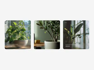 Plant Memories - Save plant moments & growth UI cards aesthetic design album dashboard b2c backswitch card status clean design design ideas desktop desktop app desktop app design digital products exploration figma glassmorphism design green plants memories moment dashboard ui ui card design ux