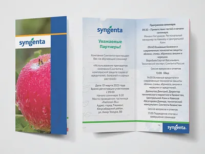 invitation brending design graphic design illustration