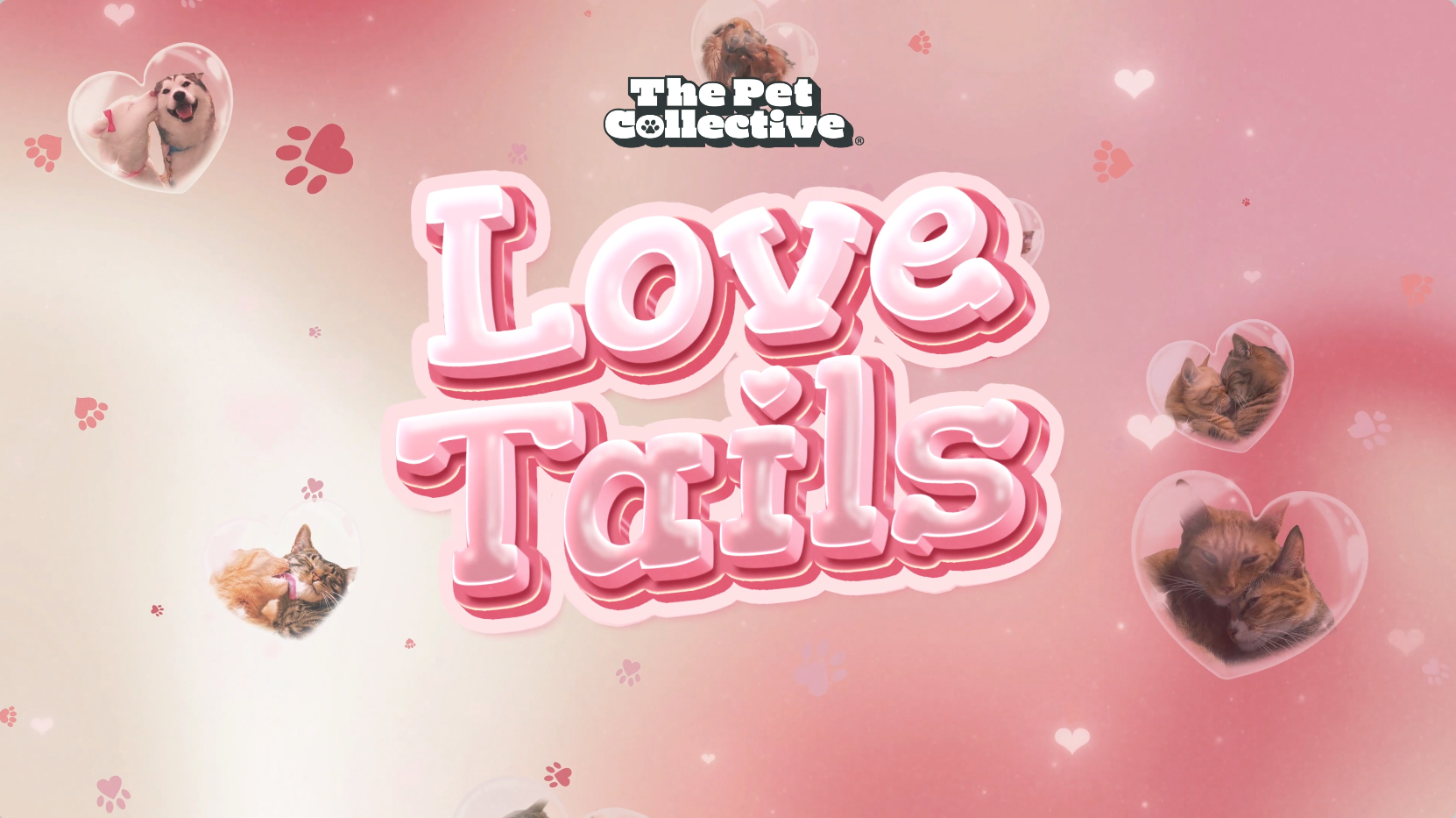 Broadcast Branding for The Pet Collective's Valentine's Day animation branding broadcast graphics intro logo animation mogrt motion graphics motion graphics templates