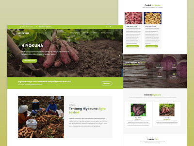 Company Profile Hiyokuna agro agro lestari branding design graphic design illustration landing page page potato ui ux vector web website