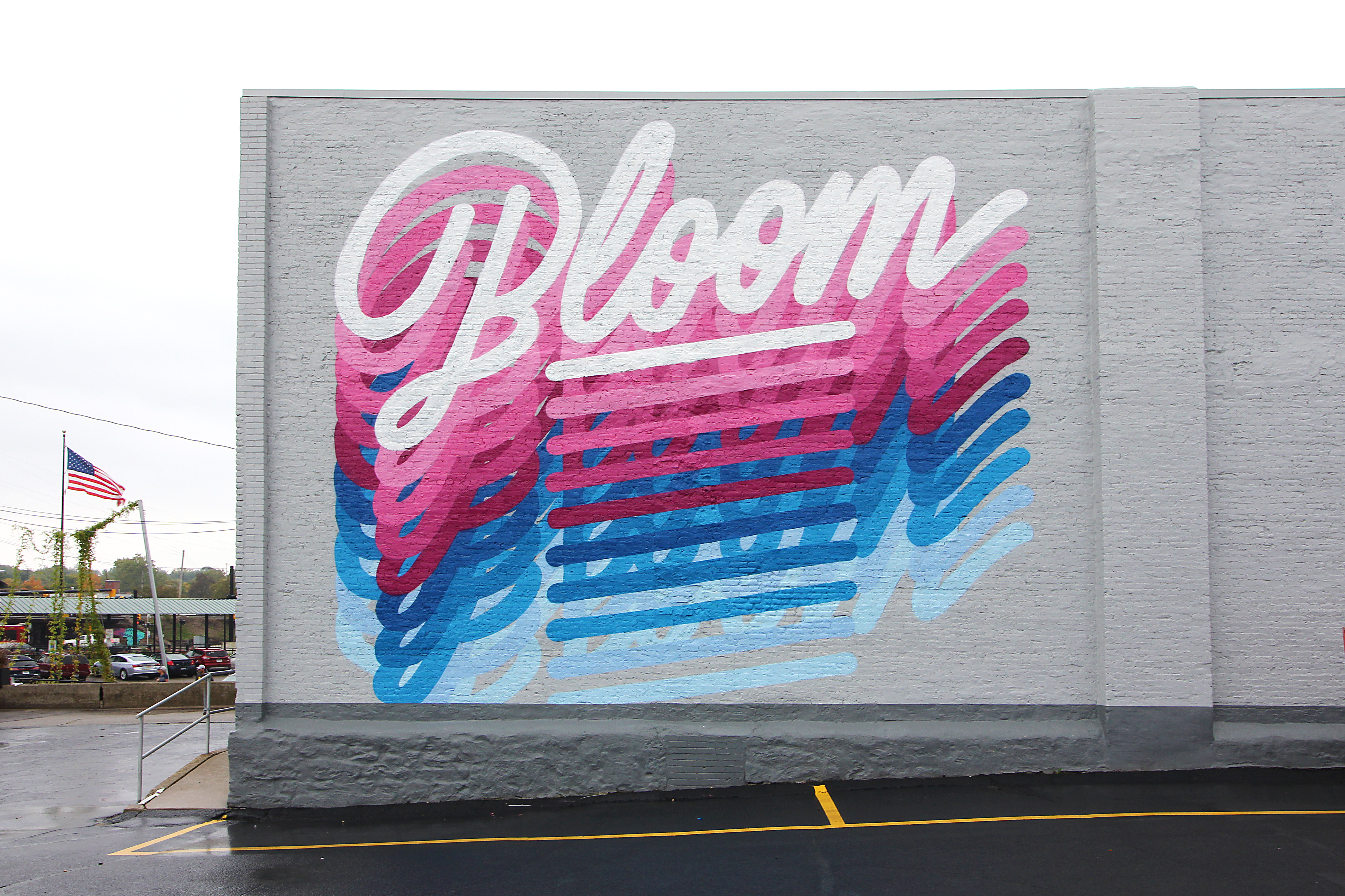 Bloom