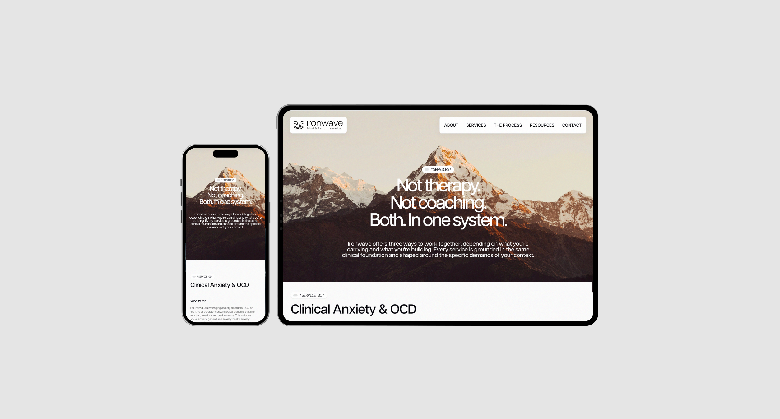 Example of Premium Web Design UI/UX