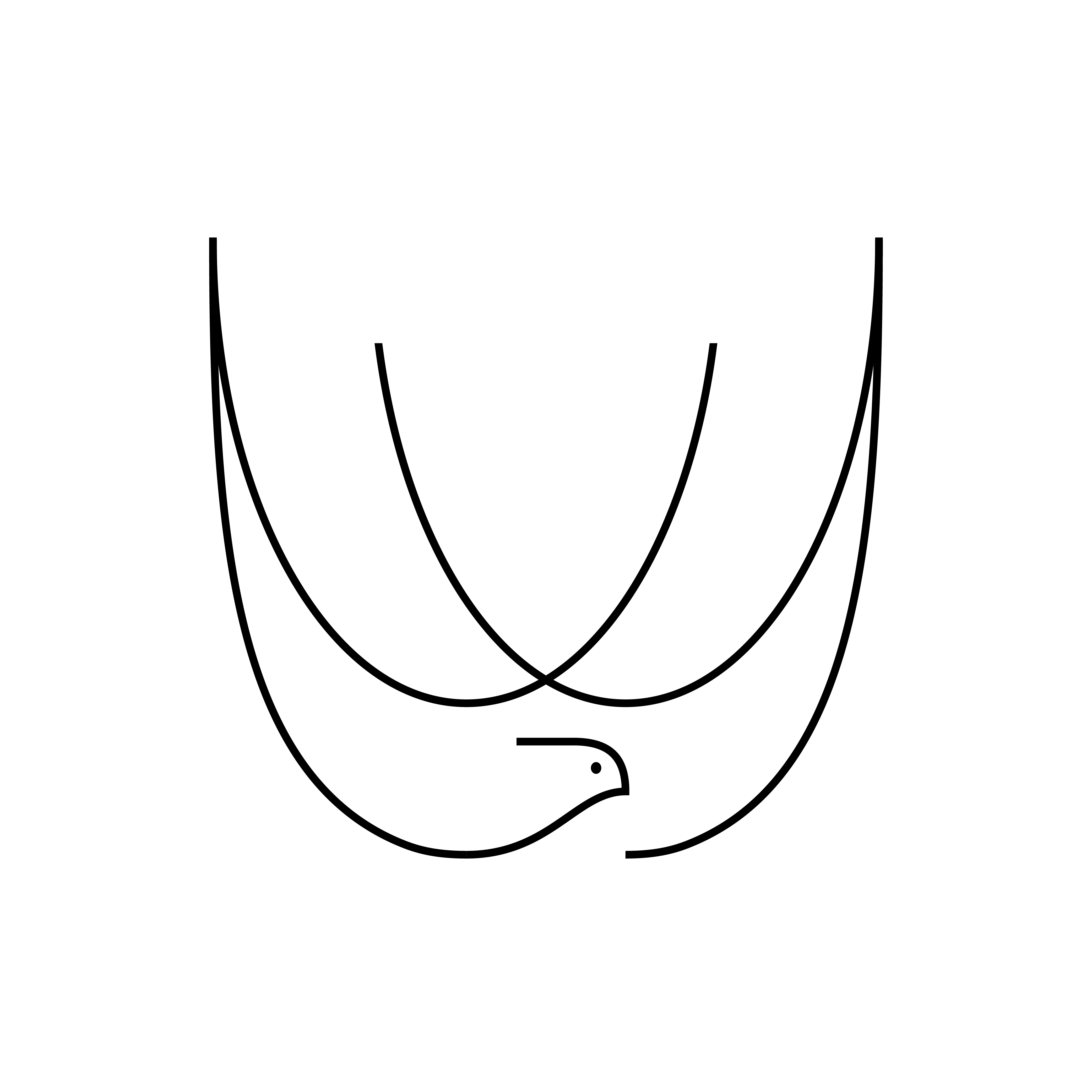 Swallow