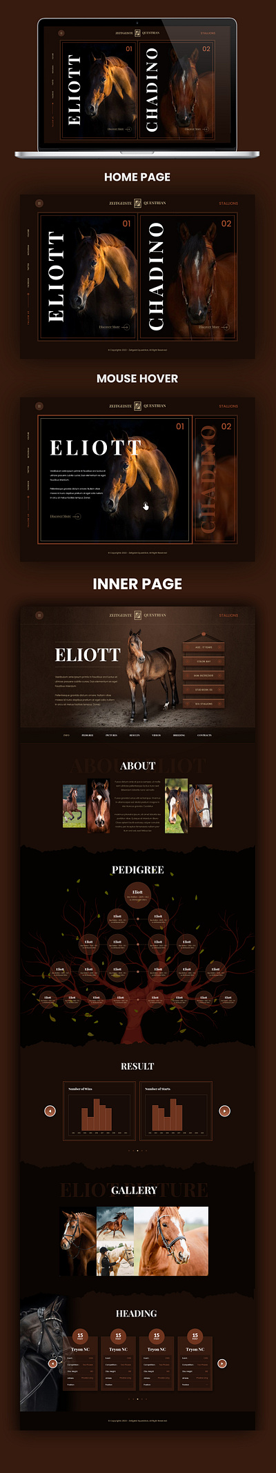 Horse 3d animation branding graphic design logo motion graphics ui