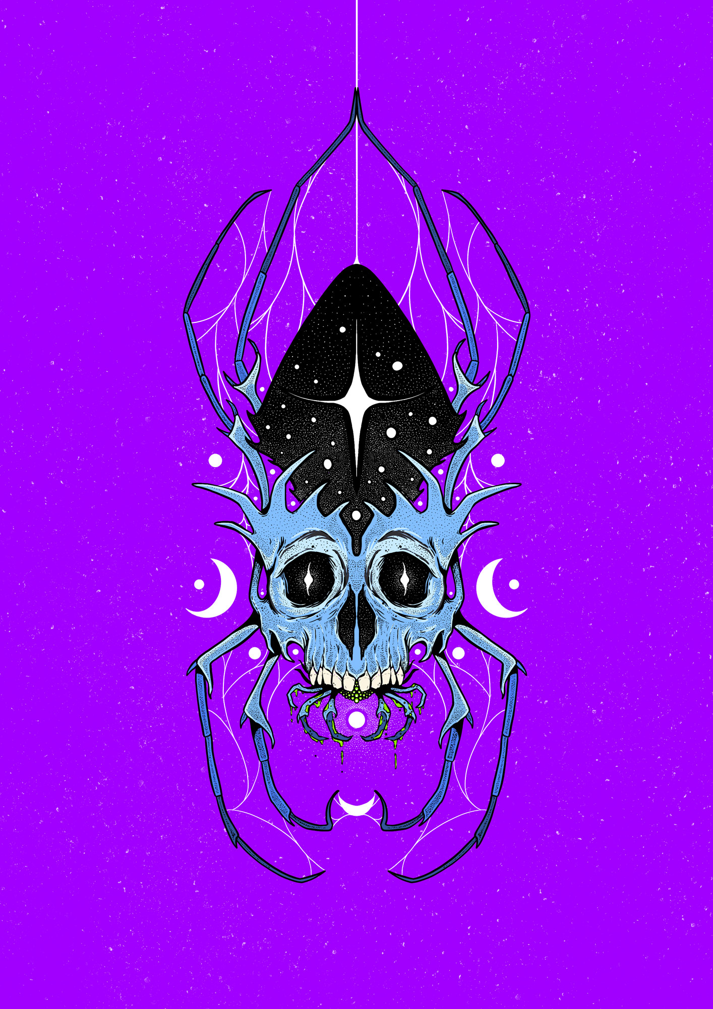 Spider Skull
