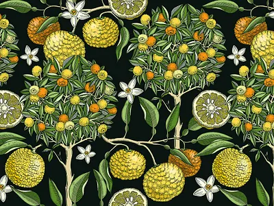 Yuzu - Citrus Fruit and Patterns botanical illustration citrus fruit decorative floral art hand drawn illustration ornamental seamless pattern summer decor surface design tree vector yuzu