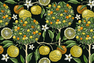 Yuzu - Citrus Fruit and Patterns botanical illustration citrus fruit decorative floral art hand drawn illustration ornamental seamless pattern summer decor surface design tree vector yuzu