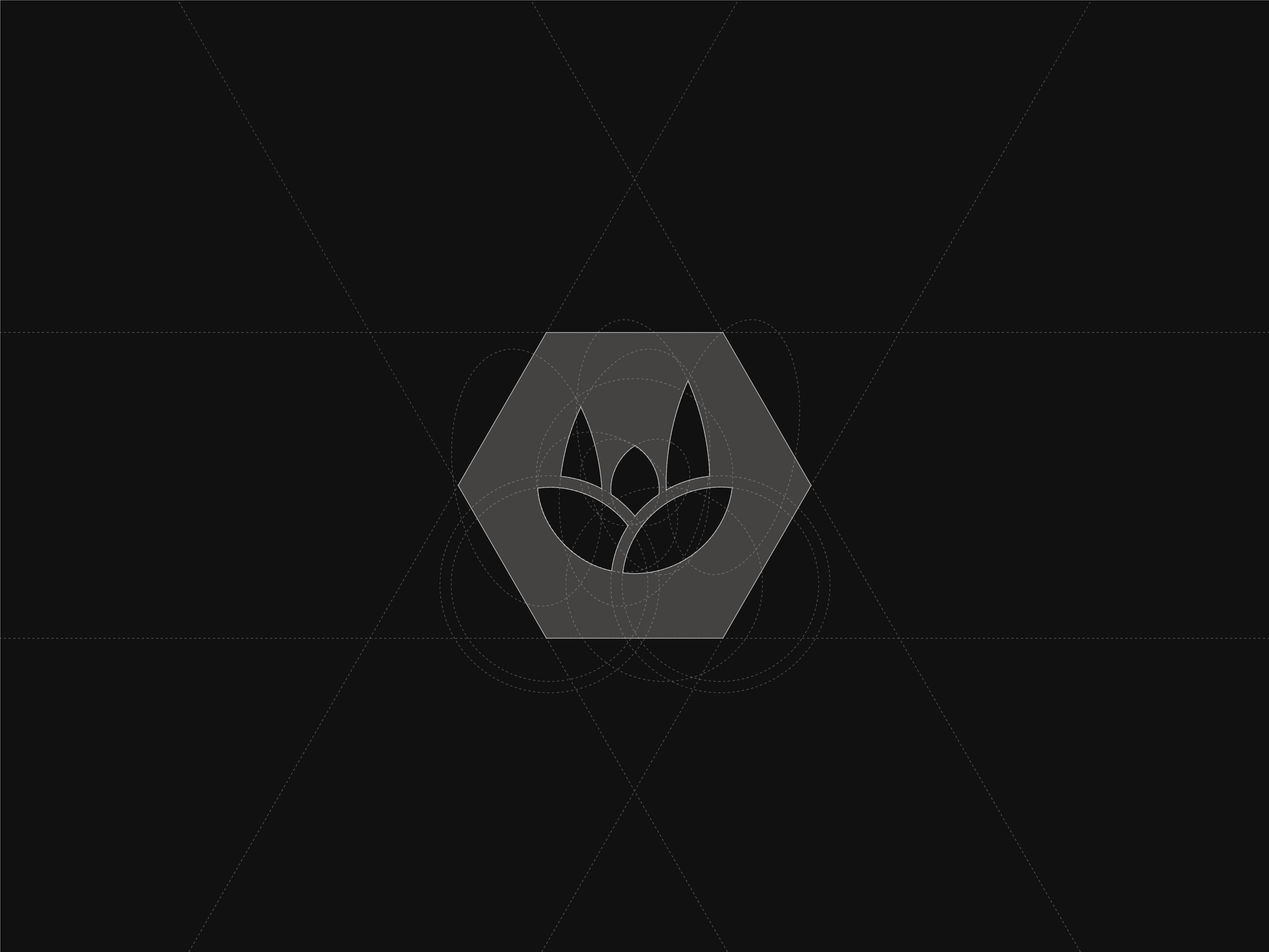 HOP 'N' ROLL - Craft Brewery Branding branding graphic design logo