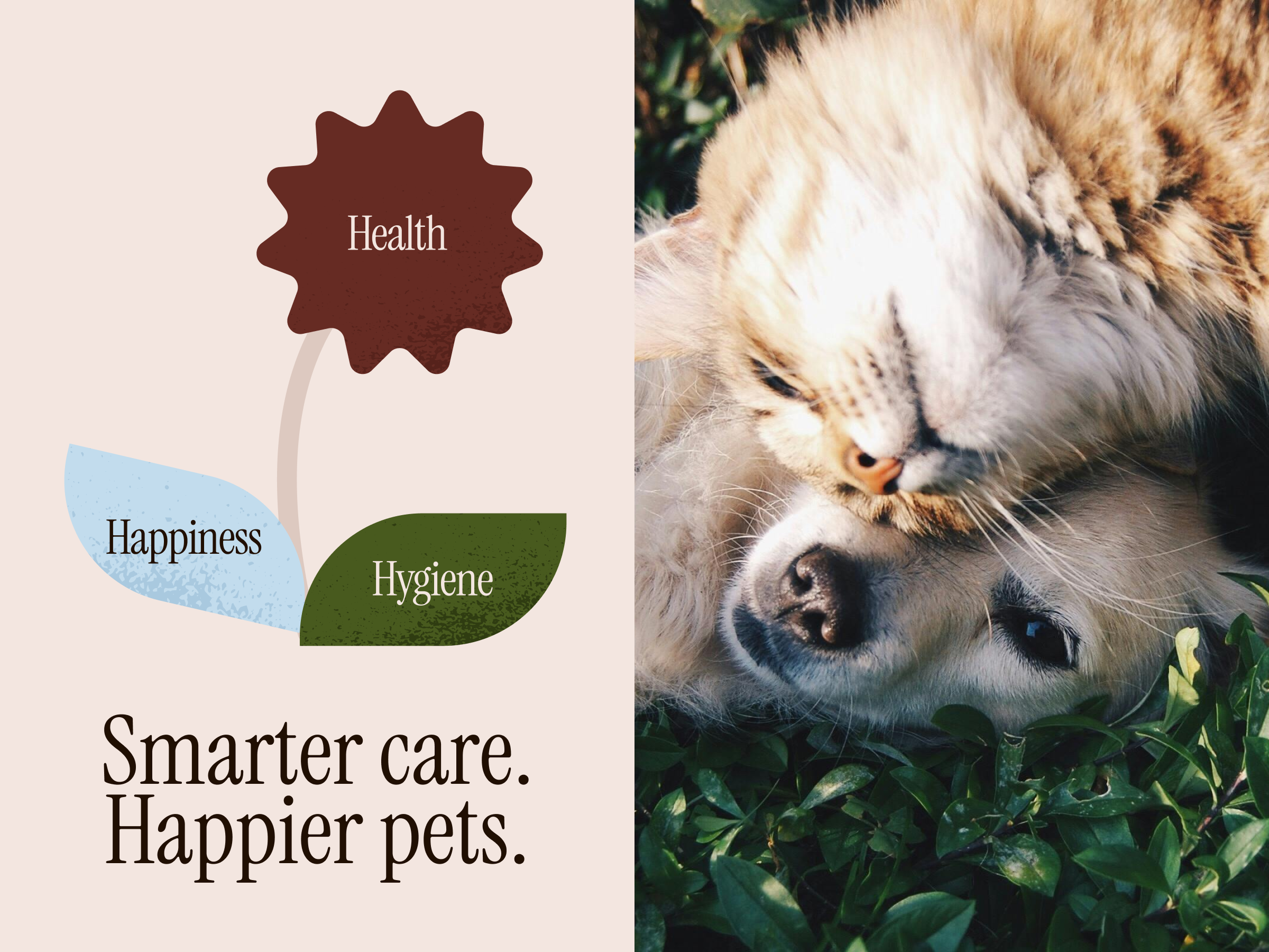 Habitat Pet Healthcare — Wellness Brand System