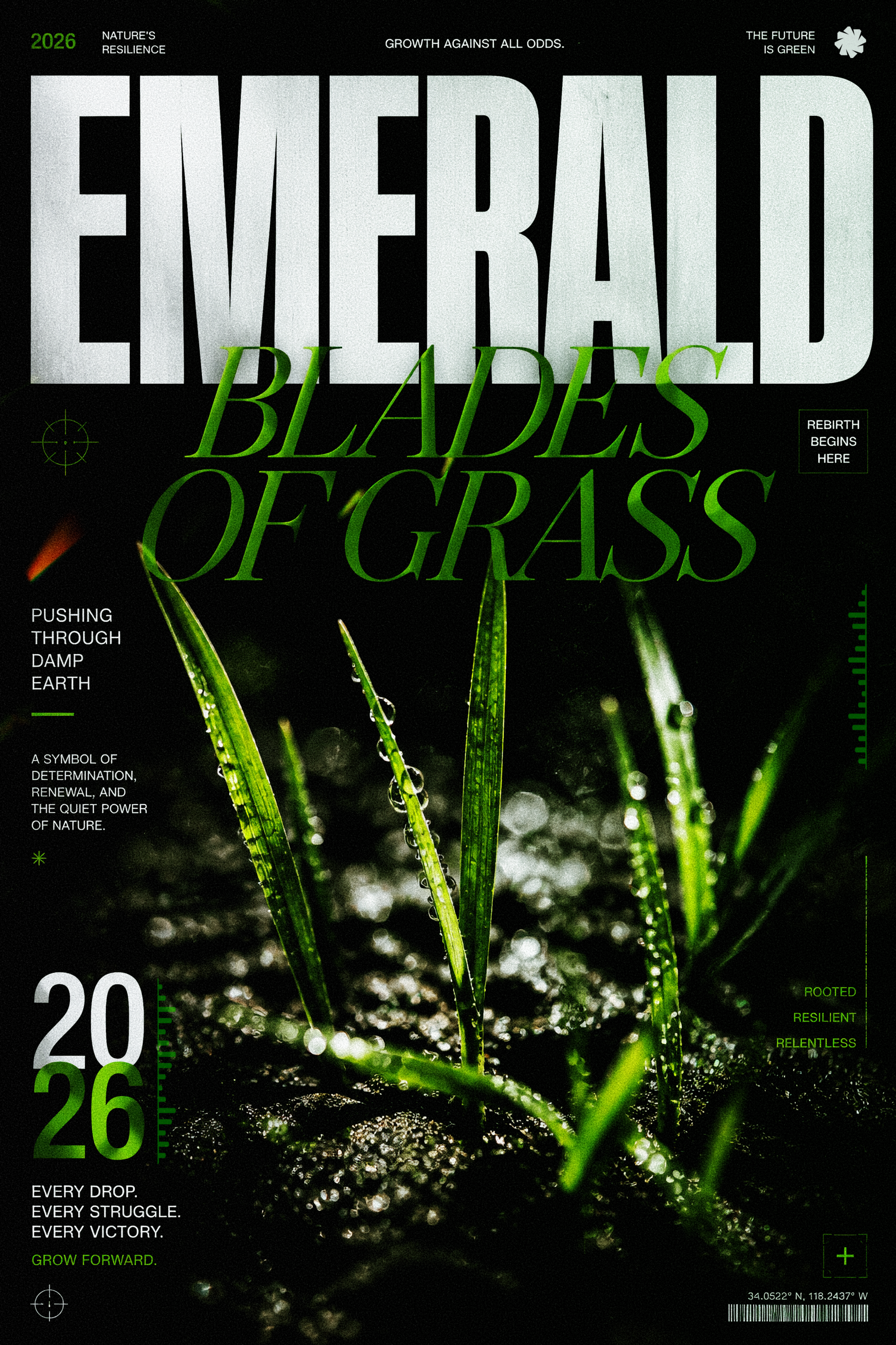 poster EMERALD branding design dribbble graphic design illustration logo poster typography ui vector