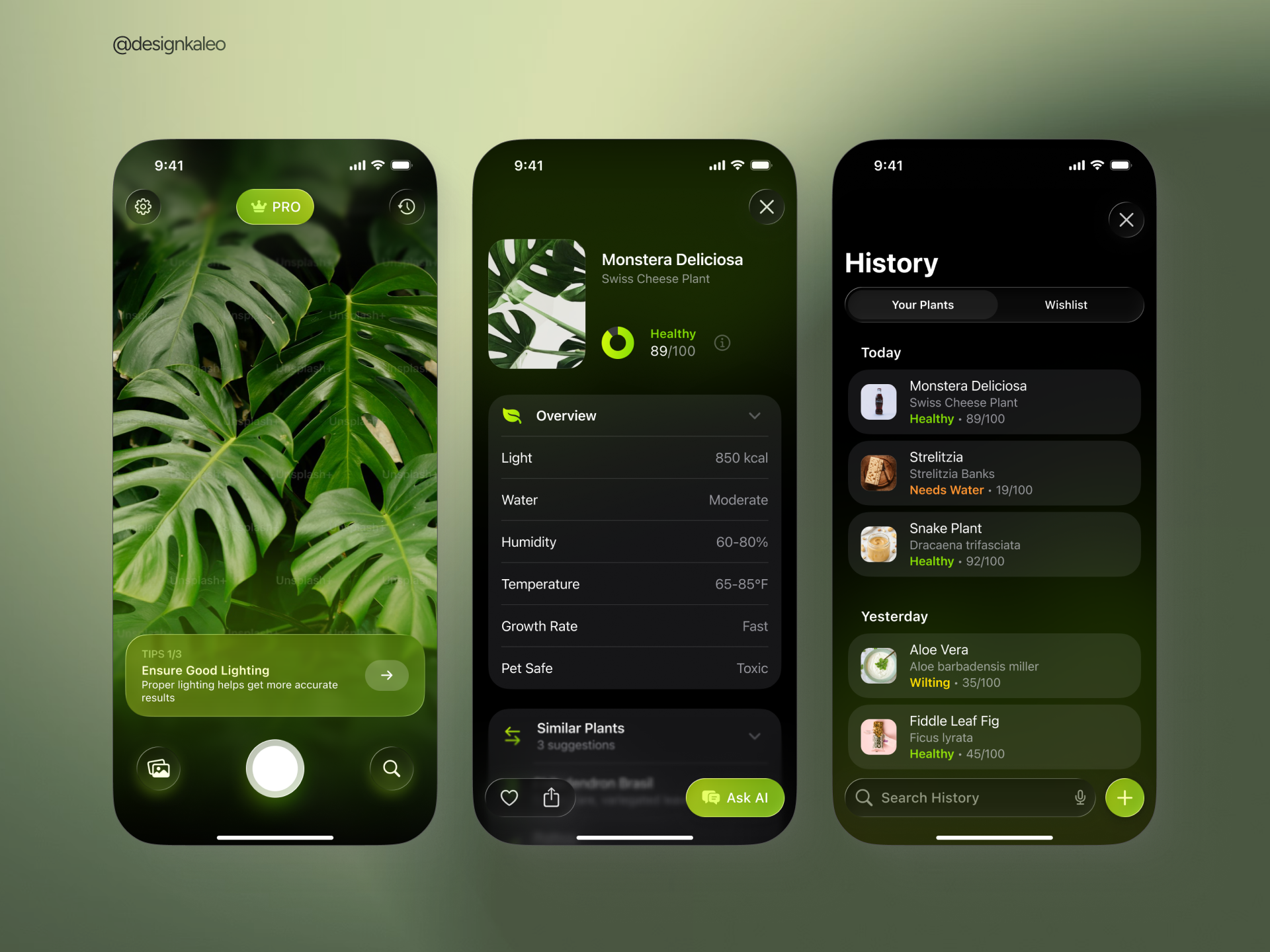 Example of PlantID — Dark Mode Plant Scanner