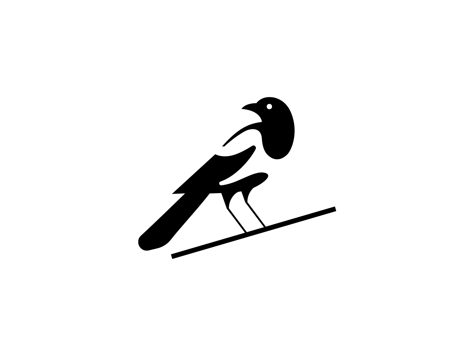 Magpie