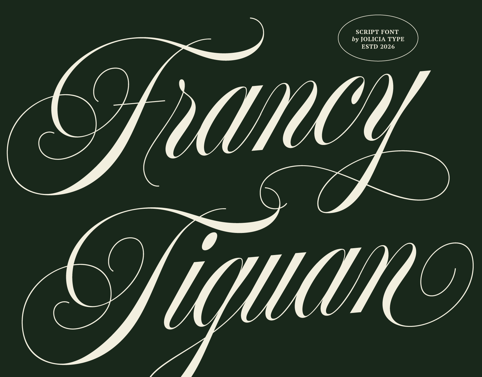 Francy Tiguan | Classy Script Font aesthetic beauty branding calligraphy chic classy editorial elegant fashion feminine handwritten luxury modern romantic script signature sophisticated stylish swash wedding