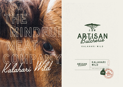 Branding Elements for Kalahari Wild brand development brand identity branding graphic design