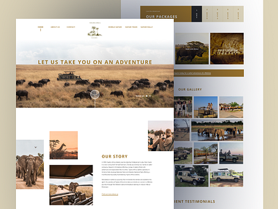 Taylors Africa Safaris adventure design flat homepage landing page design safari typography ui ux web website wildlife