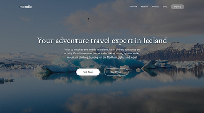 Mendio Travel Web Page ui