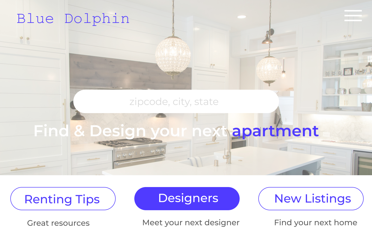Blue Dolphin branding logo ui ux