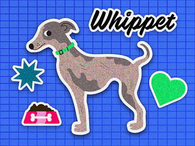 Whippet 2d adobe illustrator animal animals blue cute design dog dogs graphic design illustration illustrator puppy sticker sticker concept sticker design sticker set stickers vector whippet