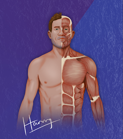 Anatomy illustration adobe photoshop anatomy digital painting human body illustration male drawing medical illustration scientific
