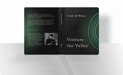 Venture the Valley: a fantasy novel. artwork author book copy cover art cover design fantasy graphic design novel print vector writing