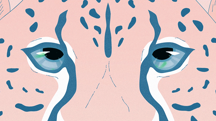 Let data live animal animals animation data illustration illustrator leopard life motion motion graphic software technology